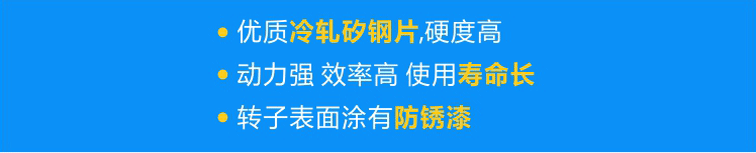 使用優(yōu)質(zhì)冷軋矽鋼片，硬度高；轉(zhuǎn)子經(jīng)高頻淬火，動力強(qiáng) 效率高 壽命長；轉(zhuǎn)子表面涂有防銹漆，更耐用！