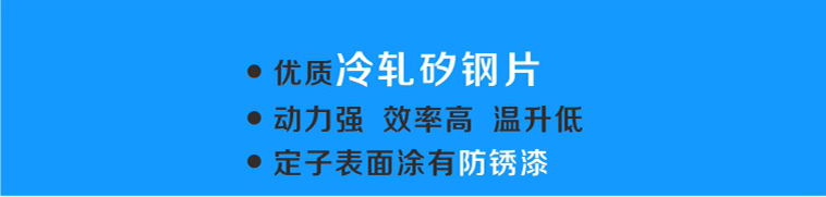 轉(zhuǎn)子選用優(yōu)質(zhì)冷軋硅鋼片，動(dòng)力強(qiáng)、效率高、溫升低，表面涂有防銹漆更耐用